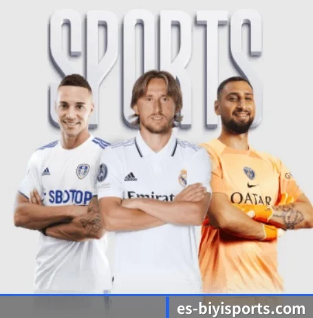 必一运动 APP（B Sports）